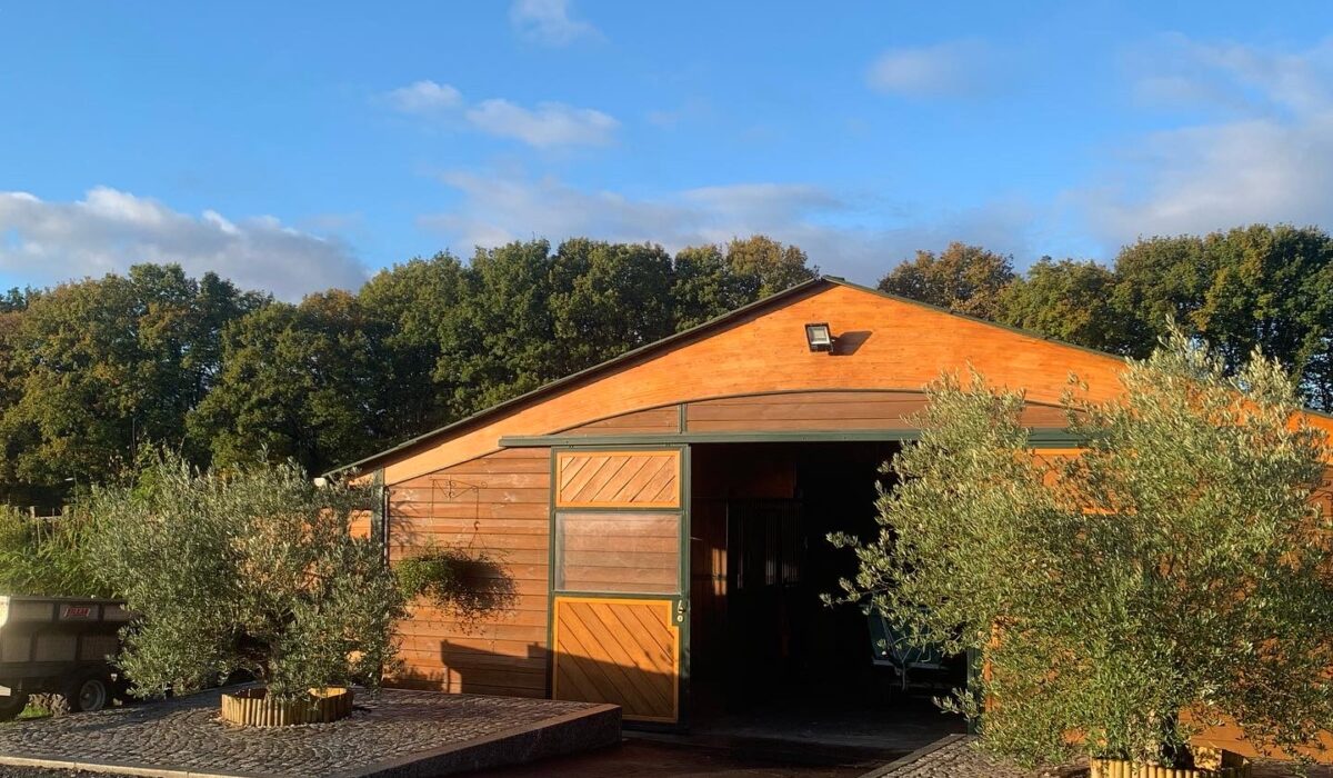 3398C8E4-9D34-4283-B7AF-11CA60093A6F (1)