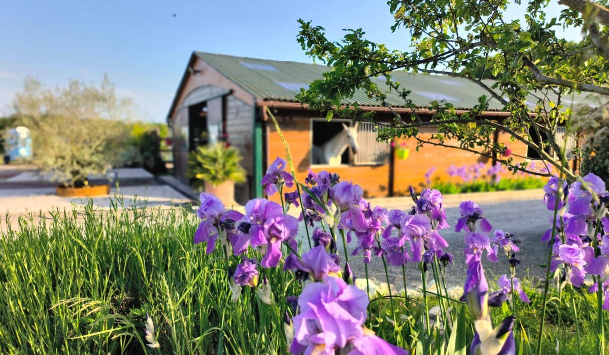 491394030_1493118365442827_5457260413711115597_n