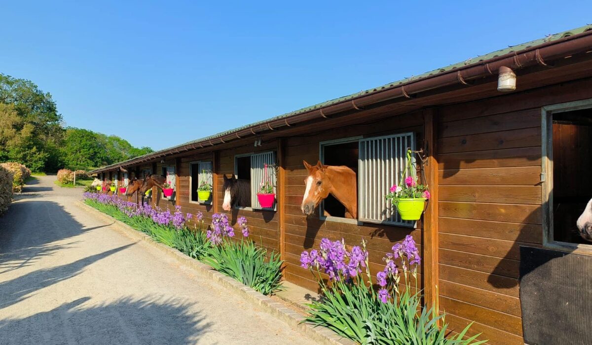 491401007_1493118342109496_5691068920971626072_n