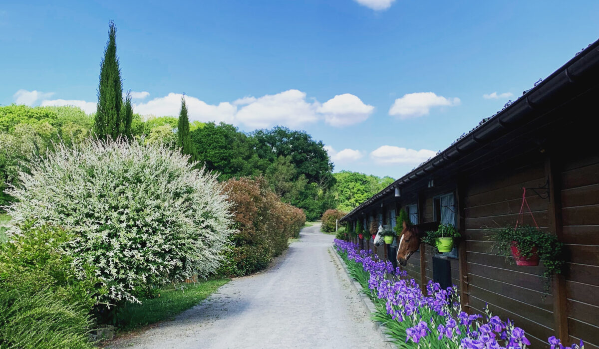 E44C04B9-0429-4316-931F-2289A1274F79 (1)